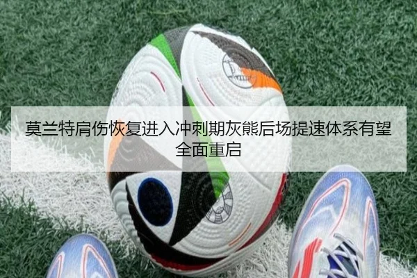 莫兰特肩伤恢复进入冲刺期灰熊后场提速体系有望全面重启